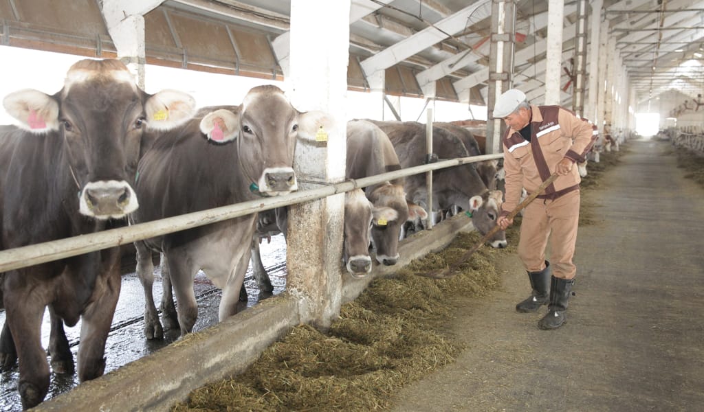 Өрісі кең өндіріс