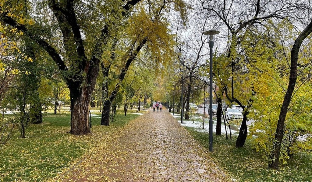 14 қарашаға арналған ауа райы болжамы