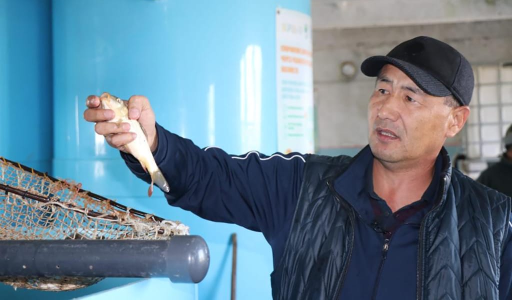 БАЛЫҚПЕН ӨСКЕН АУЫЛ