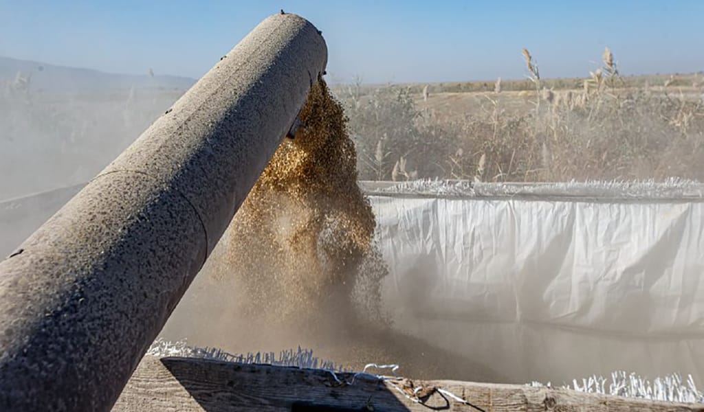 Түсім молайды