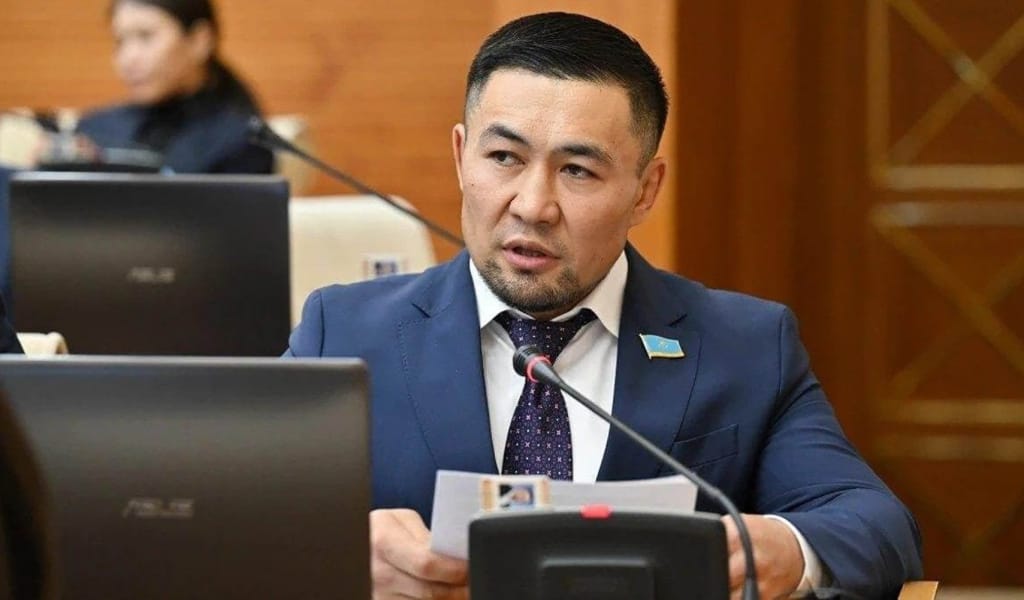 «30 күн қоғамдық жұмысқа жегу керек». Ардақ Назаров қазақтарға тіл тигізгендерді жазалауды сұрады