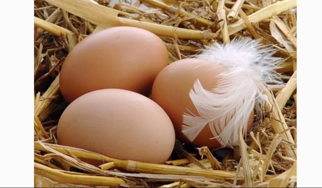 Кәсібі-нәсібі