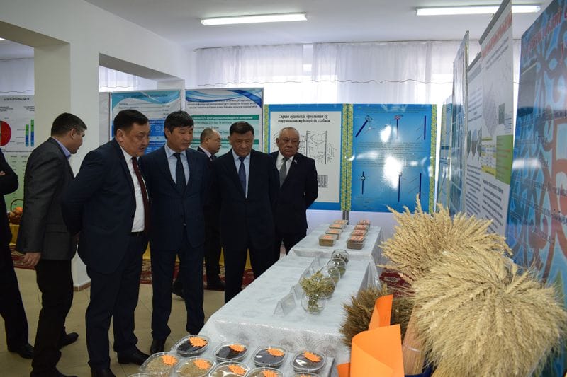 Даму көрсеткіштері сараланды