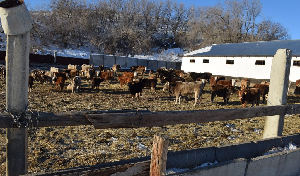 Ерте қамданғанның есебі түгел