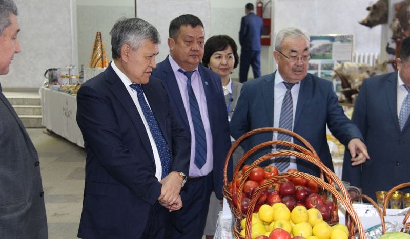 Мүмкіндігі зор өңір