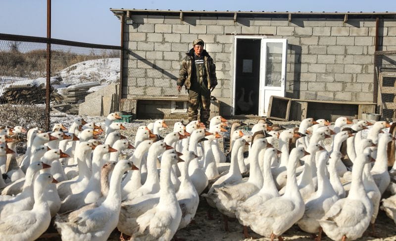 Құс баққан кәсіпкер