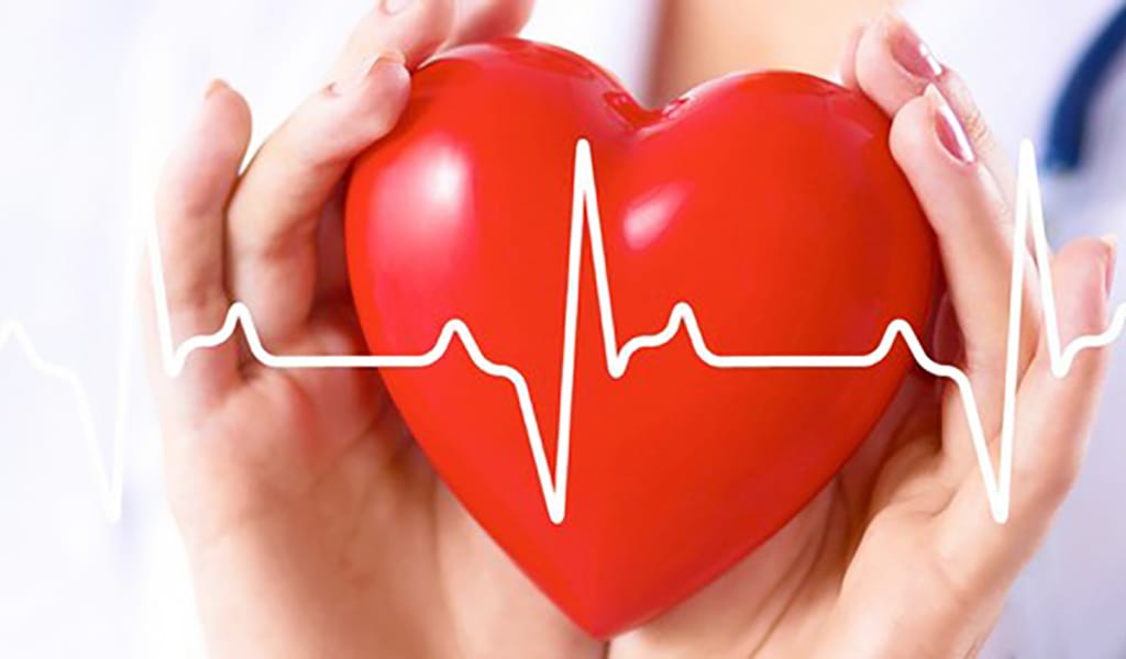 Жан арнасы һәм жүрек тәрбиесі