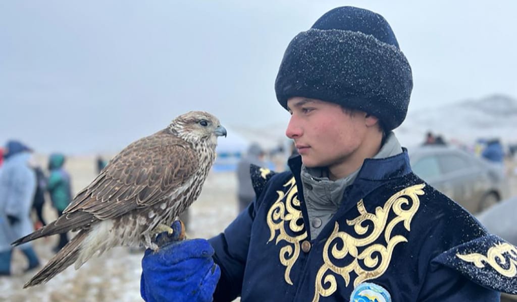 ҚЫРАН ҚҰС НЕ АЛМАЙДЫ, САЛСА БАПТАП