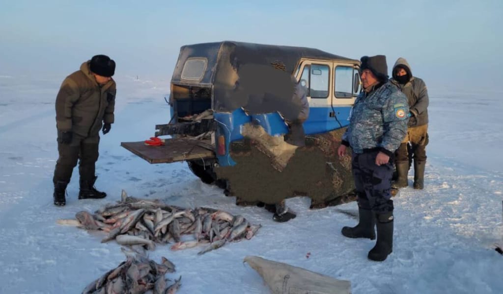 Жетісу полицейлері браконьерден 120 келіден астам балық тәркіледі