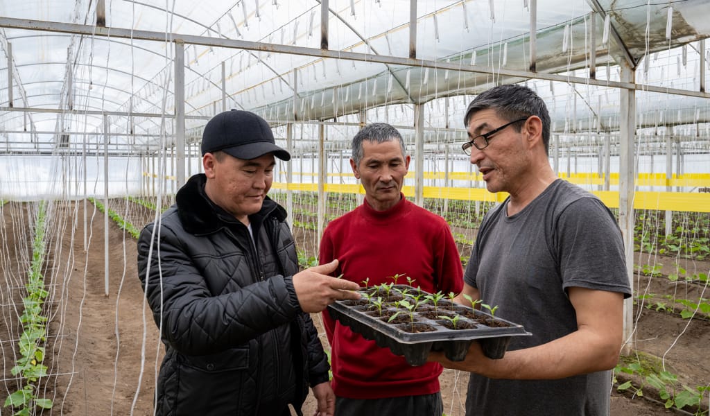 Баспасөз туры: Төккен тердің өтеуі