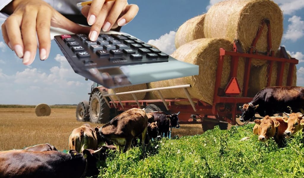 Талпынғанның табысы мол