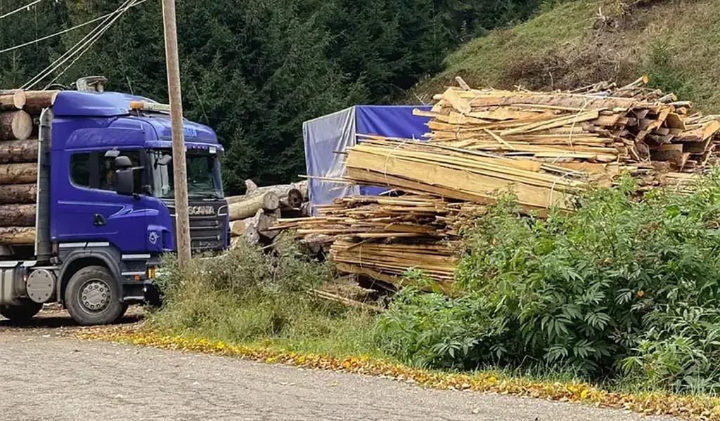 Еуропалық Одақ экологиялық қылмыс үшін жазаны күшейтті