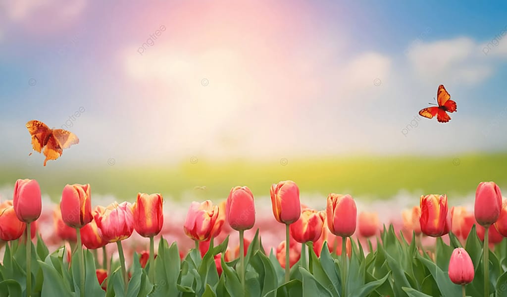 Бар әлемді құшып тұрған менің кеудем дала сынды