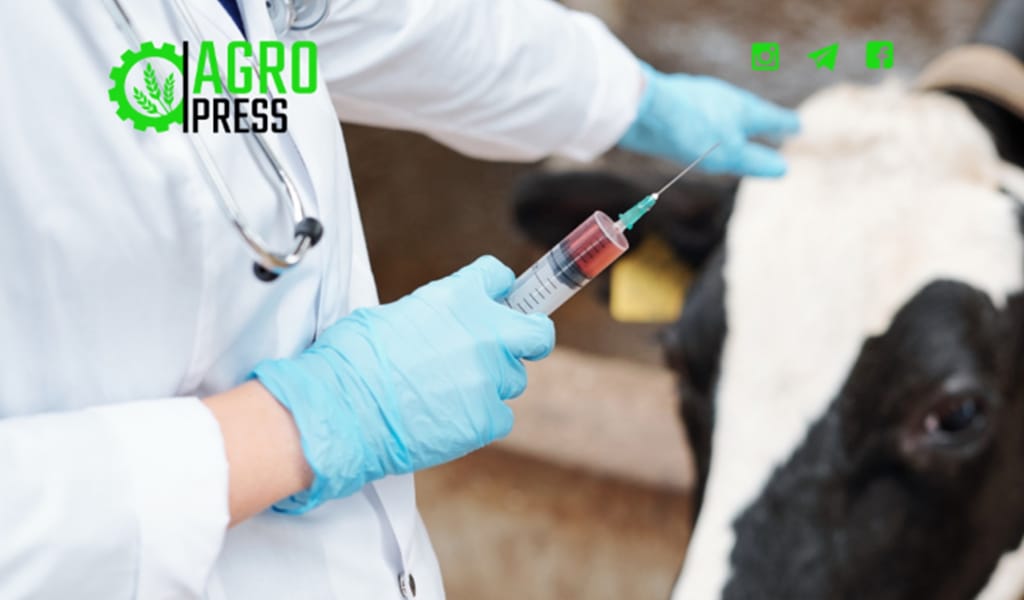 Көктемгі ветеринариялық профилактикалық іс-шаралар басталды