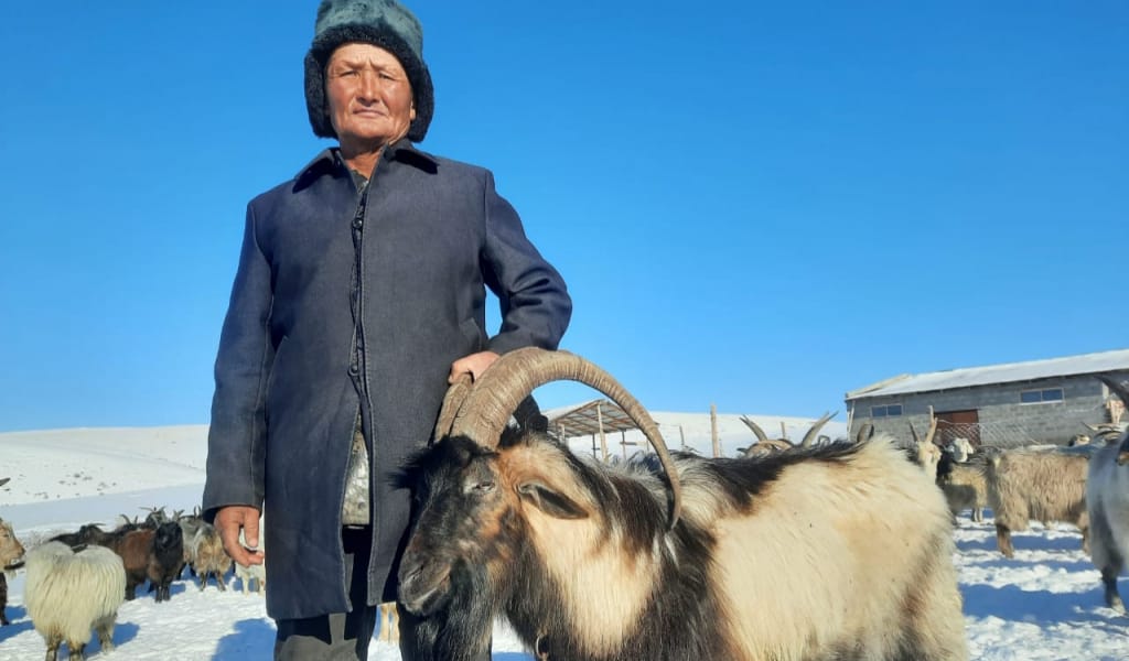 Ешкі өсіріп еңбегі еселенген