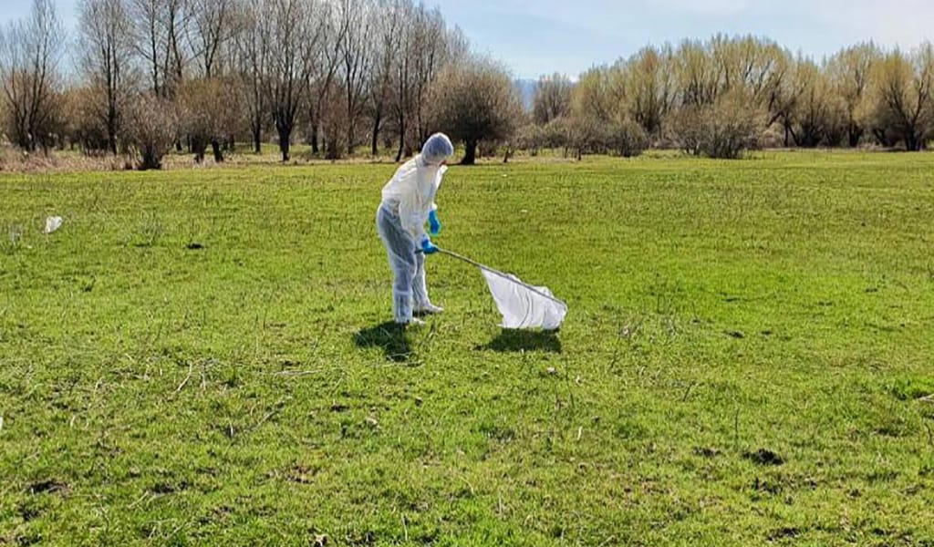 Кенеге қарсы өңдеу жұмыстарының басталды