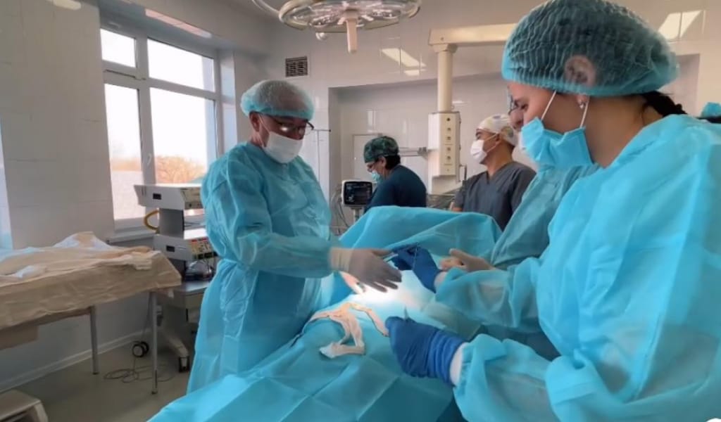 Жетісулық дәрігерлер өте ауыр жағдайда түскен екі баланың өмірін құтқарып қалды