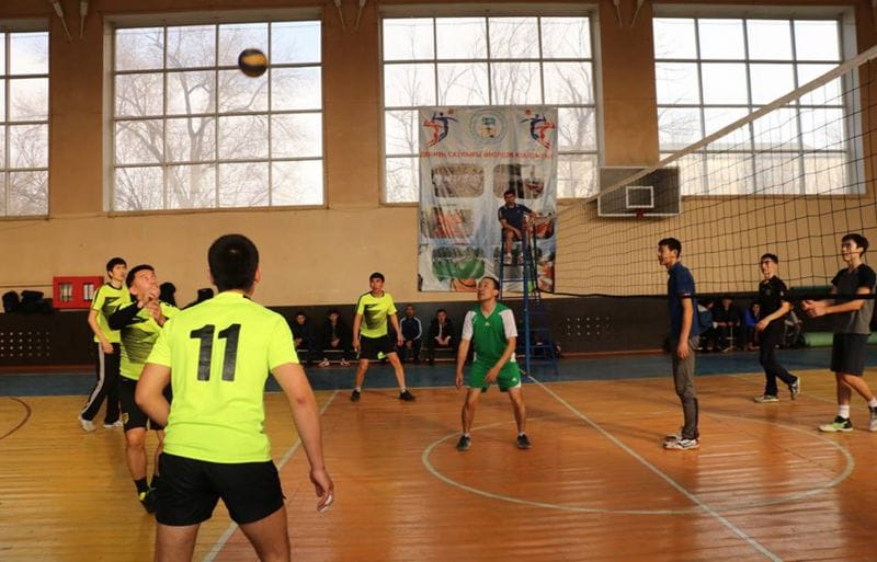 "Жасыл ел" кубогы