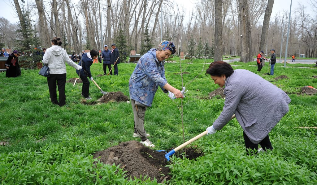 Ардагерлер 30 түп ағаш екті