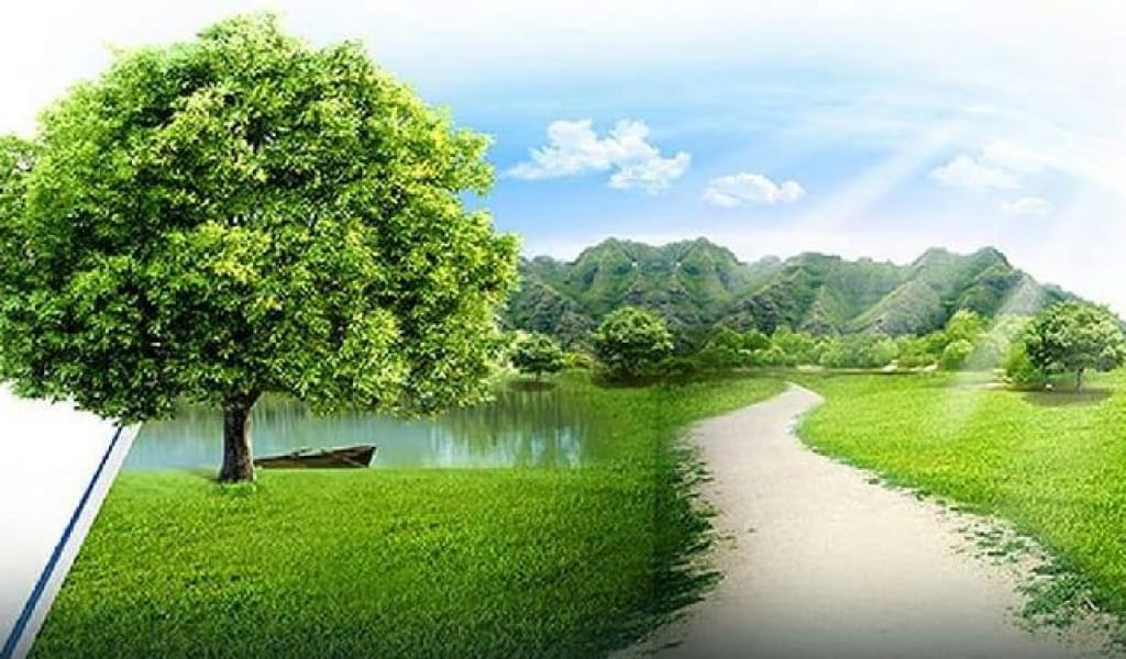  Тазалыққа да тәрбие керек