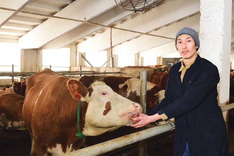 Сапалы сүт өндіреді