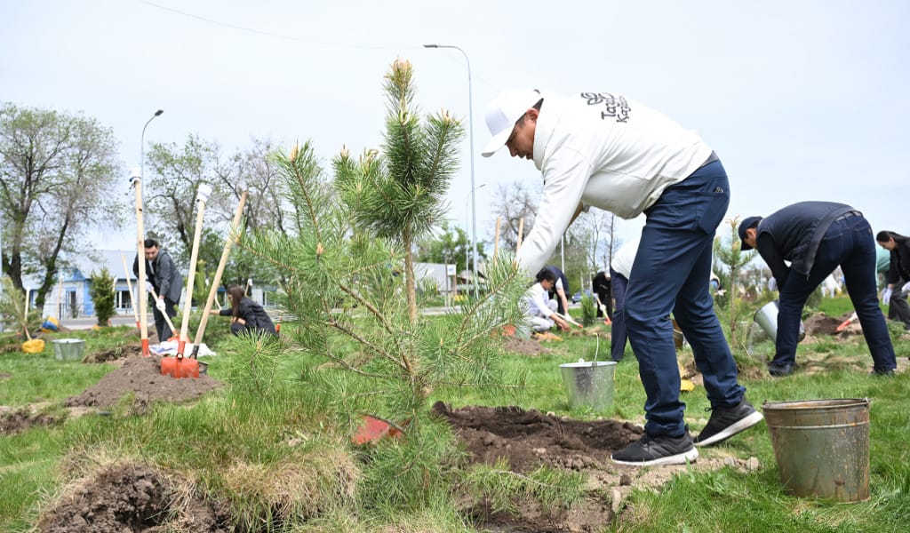 ТАЛДЫҚОРҒАНДА ОРТАЛЫҚ БАССЕЙННІҢ АЙНАЛАСЫНА 80-НЕН АСТАМ КӨШЕТ ОТЫРҒЫЗДЫ