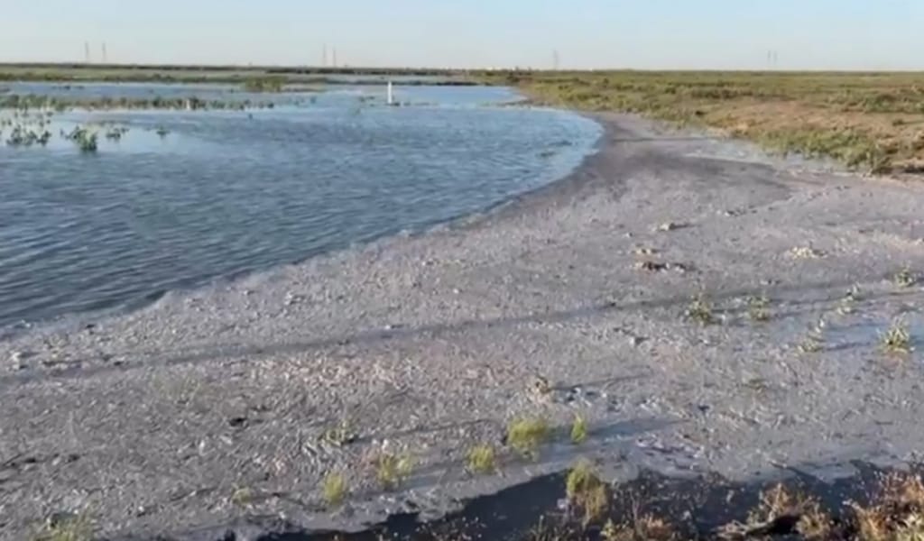 Жайық өзеніндегі су деңгейі төмендей бастады