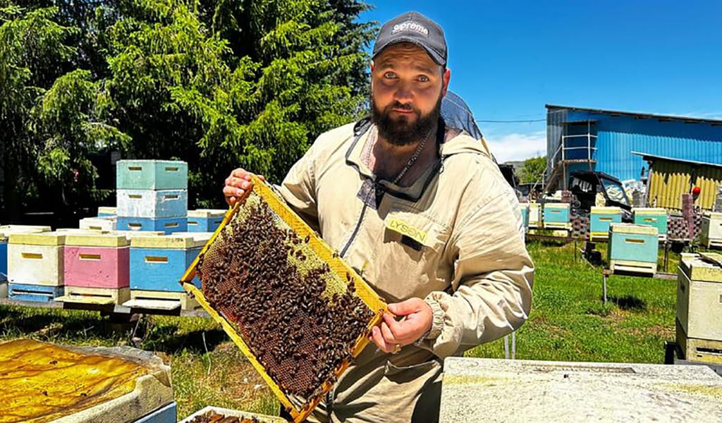 БАЛ ШЕТЕЛГЕ ЭКСПОРТТАЛУДА
