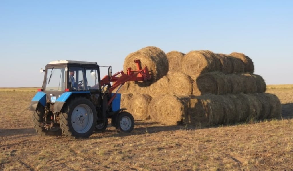 ШАБЫНДЫҚТА ҚЫЗУ ТІРЛІК