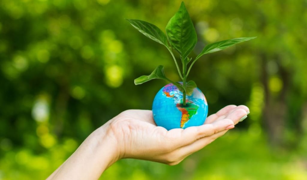 ТАБИҒАТТЫ АЯЛА