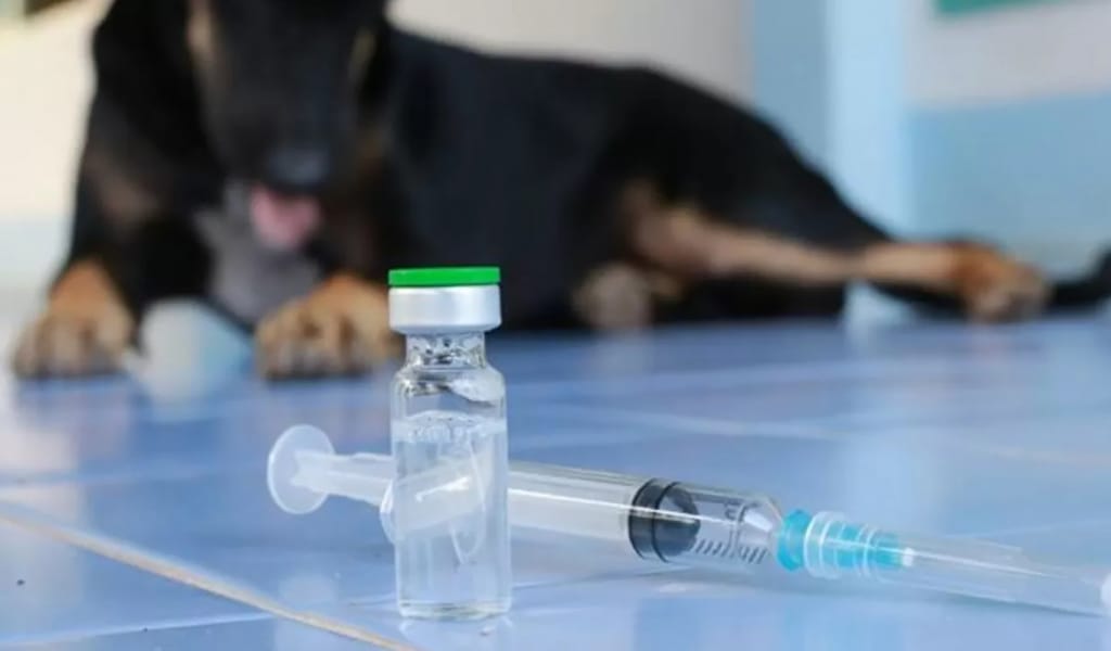 Құтырмадан сақтаныңыз