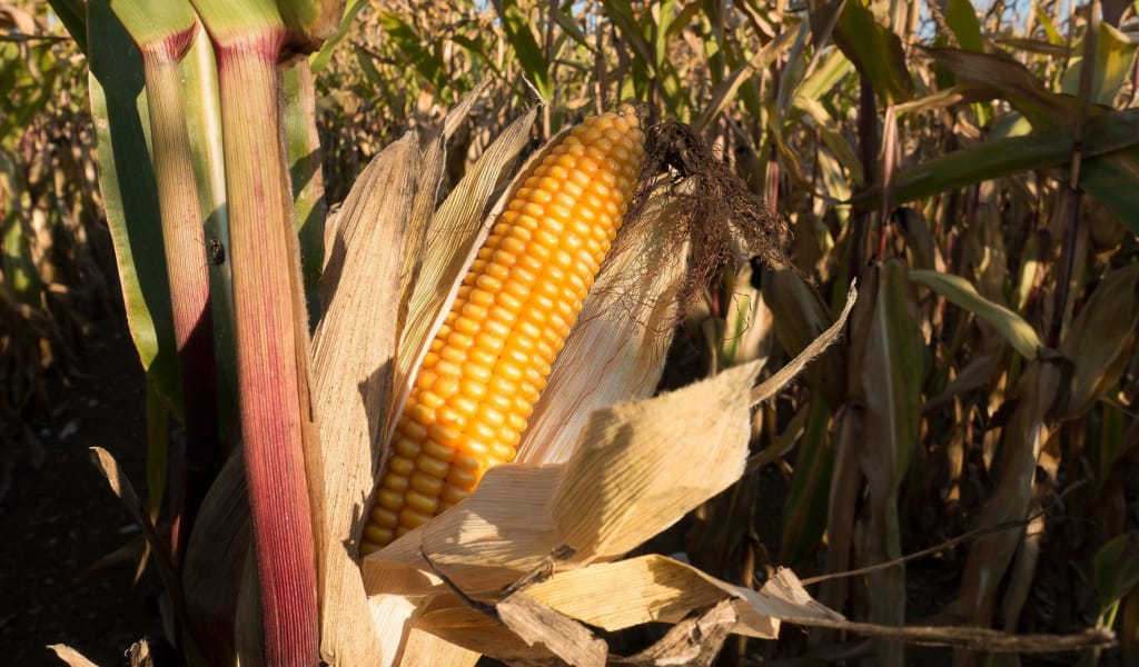 Табыс құпиясы