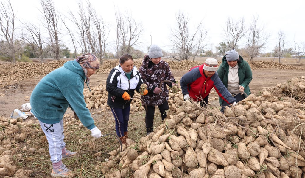 АЛҚАПТАҒЫ ҚЫЗУ ЕҢБЕК