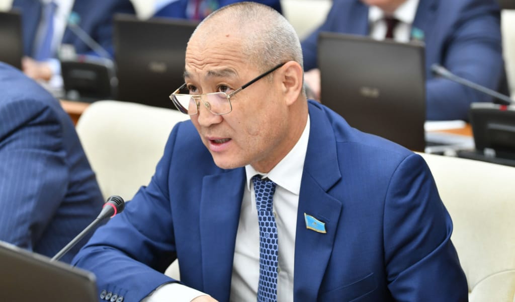 Немеремді балабақшаға беруге қорқамын – Мәжіліс депутаты