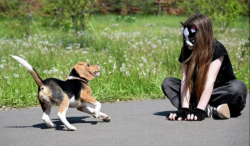 Үйде жасалған порно вульва ірі планда