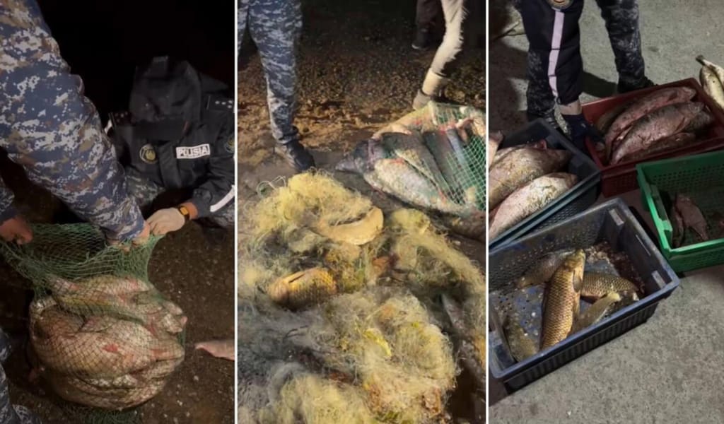 Жетісу полицейлері заңсыз балық тасымалдаған күдіктілерді құрықтады