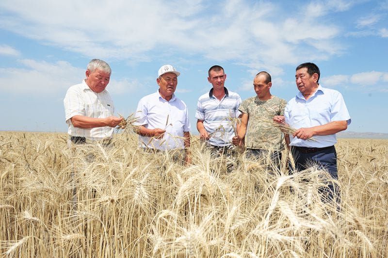 Өнімділік жоғары