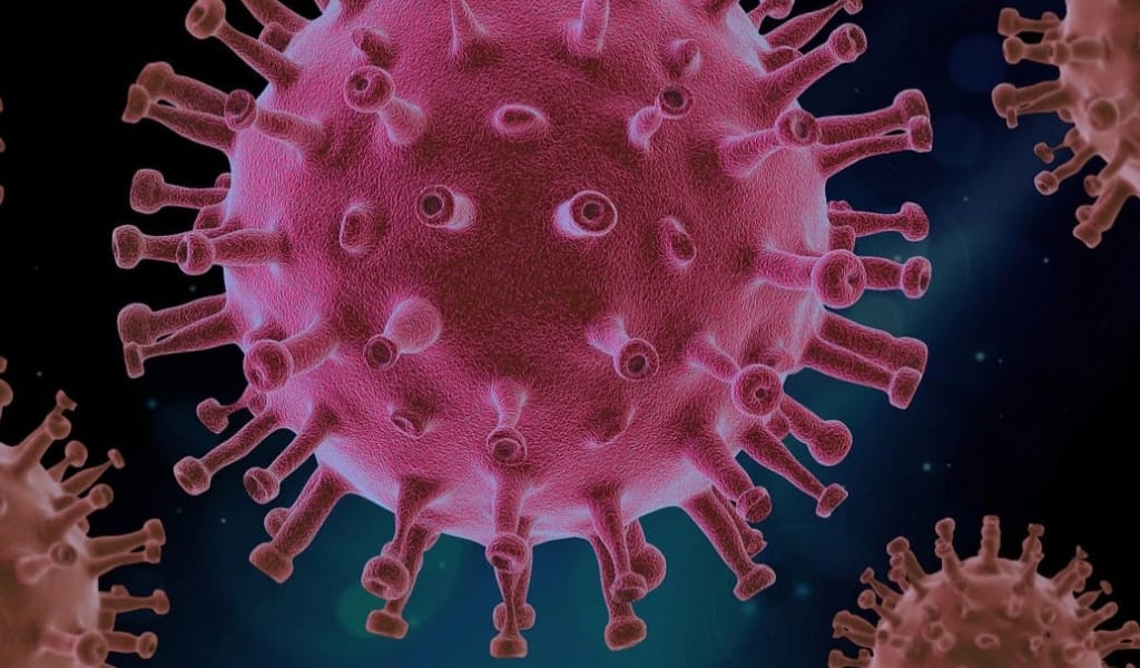 ҚЫТАЙДА ЖАҢА ВИРУС ТАРАП ЖАТЫР