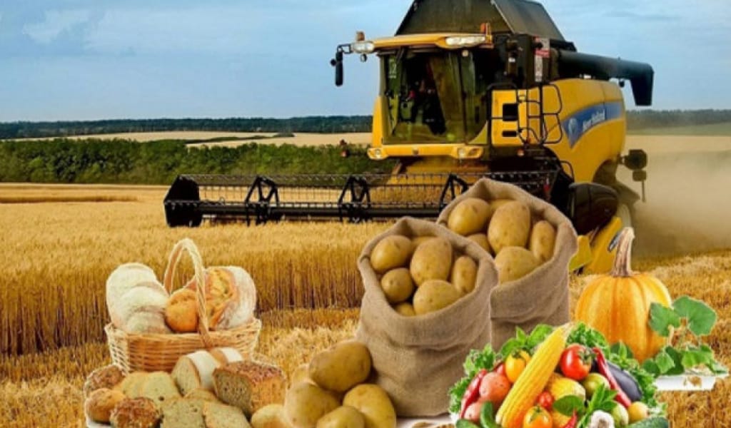 Қазіргі заманғы ауыл шаруашылығы жаңа жұмыс дағдыларын талап етеді