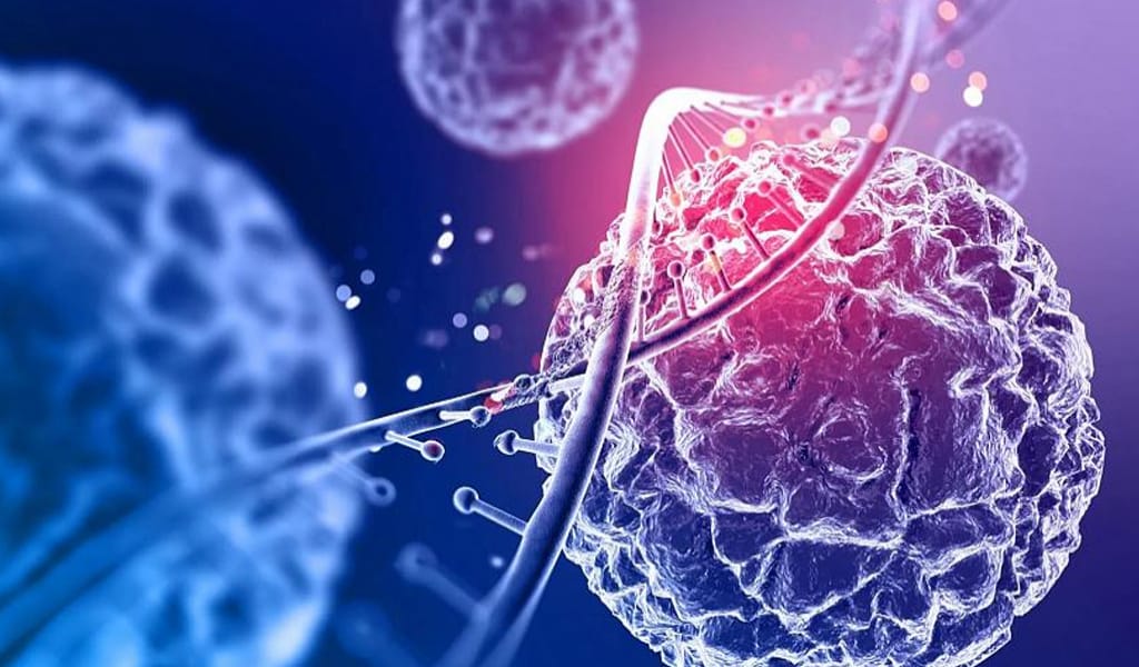 ЖЕТІСУ ОБЛЫСЫНДА МЕТАПНЕВМОВИРУС ТІРКЕЛГЕН ЖОҚ