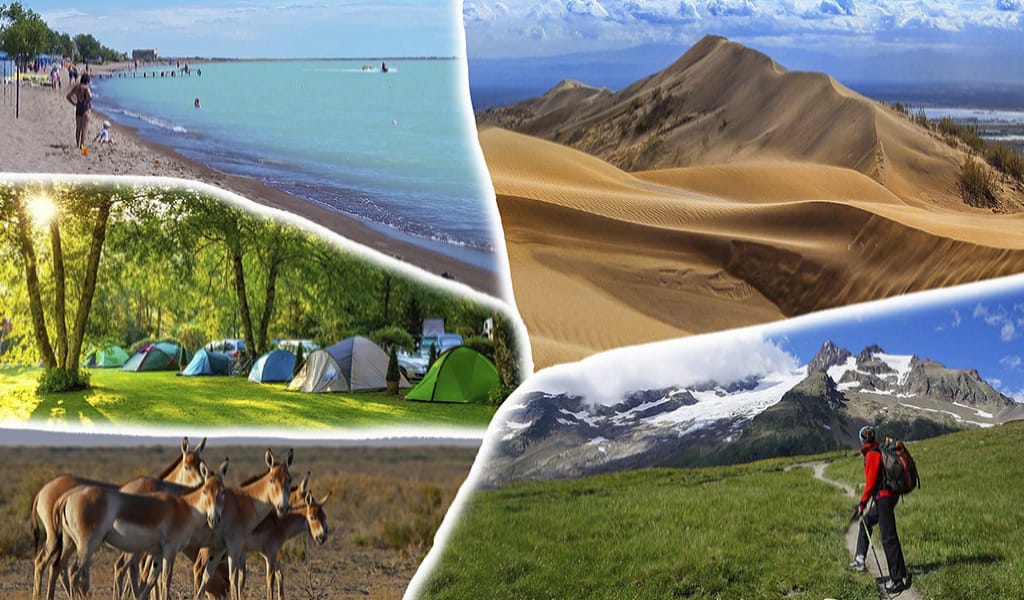 Басқарма жоқ, жалақы аз туризм қайтіп дамиды?