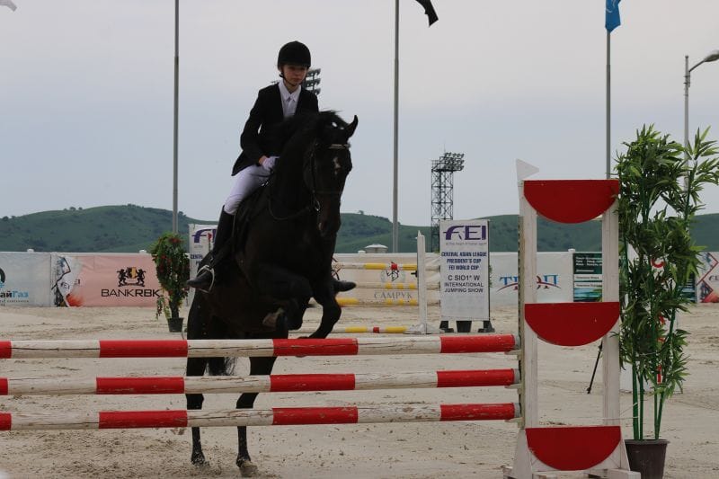 Ат үстіндегі ақсүйектер