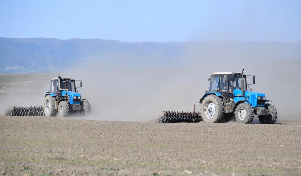 Жетісуда биыл 510,7 мың гектарға тұқым себіледі