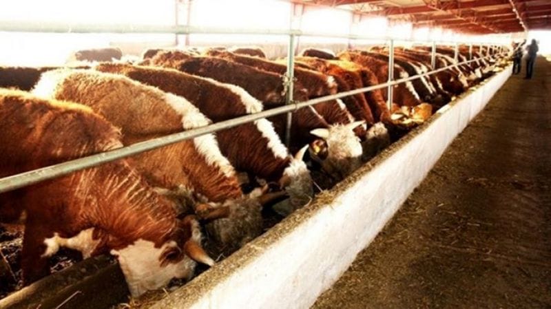 Өркен жайған "Өтес БиоАзия"