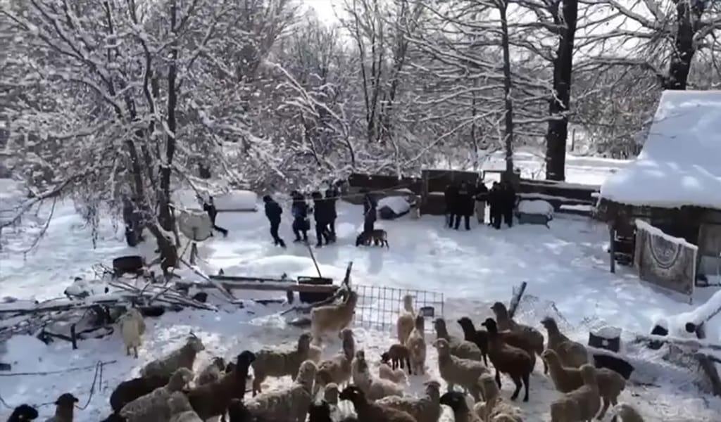 Сарқанда есірткі мен экстремистік материалдарды таратты деген күдікпен бірнеше адам ұсталды