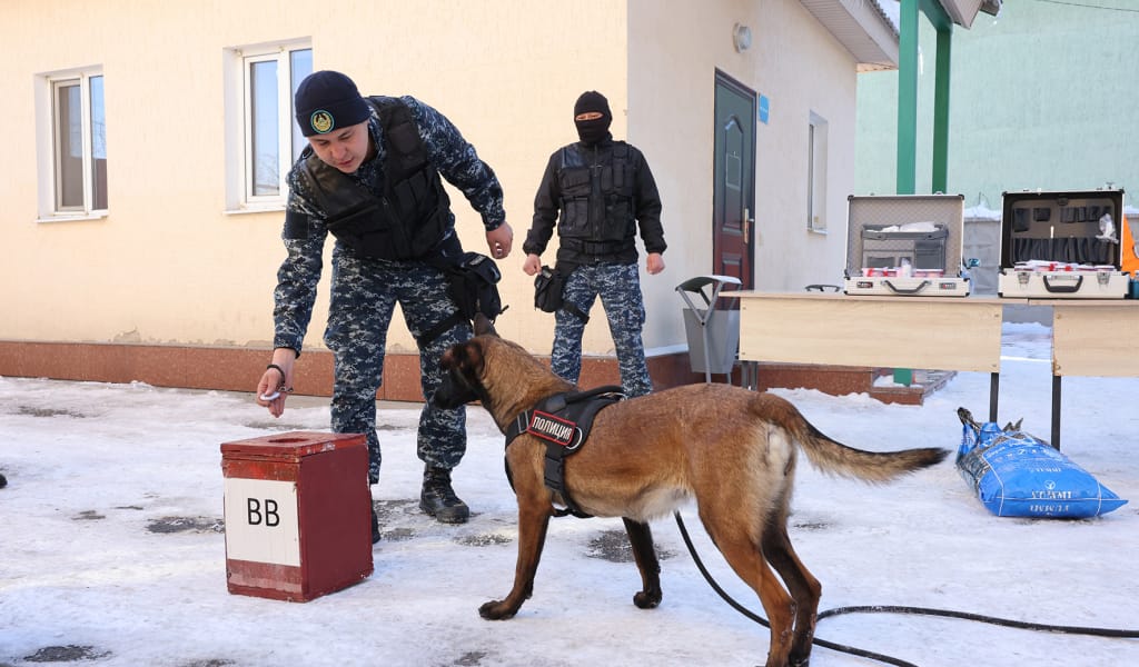 Қылмыс ашуда иттер кәдеге жарап тұр