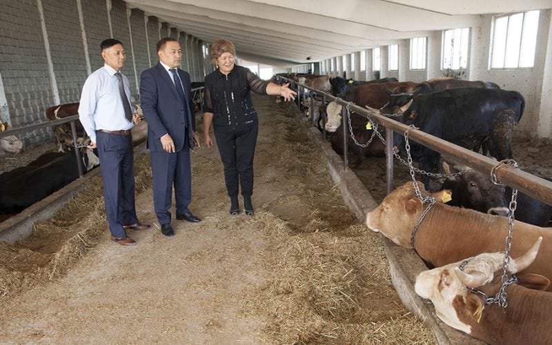 Бордақылаудың бабын біледі