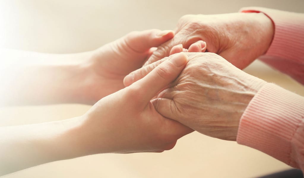 Бар арманым – балаларымның бақыты