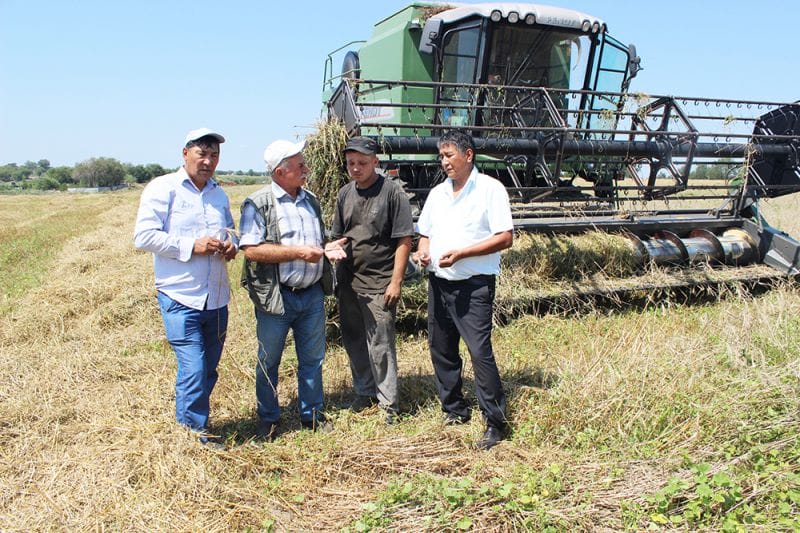 Астық алқабы қарбалас