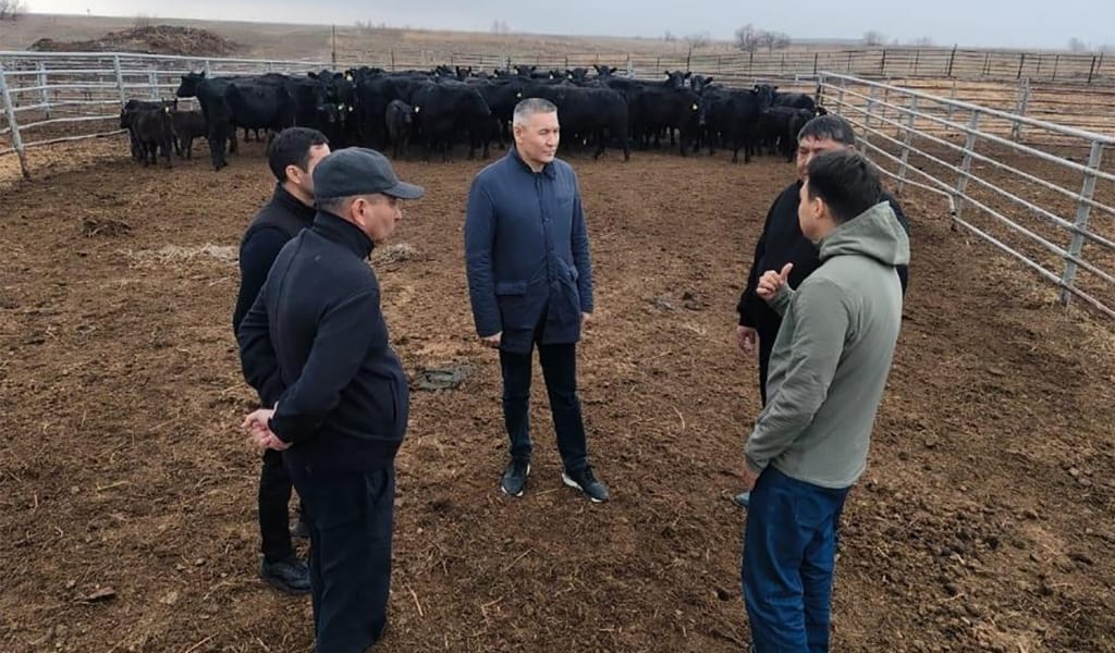 Ауыл шаруашылығы вице-министрі Аманғали Бердалин Жетісу облысына іссапармен келді